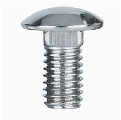 RVS 304 Slotbouten Din603